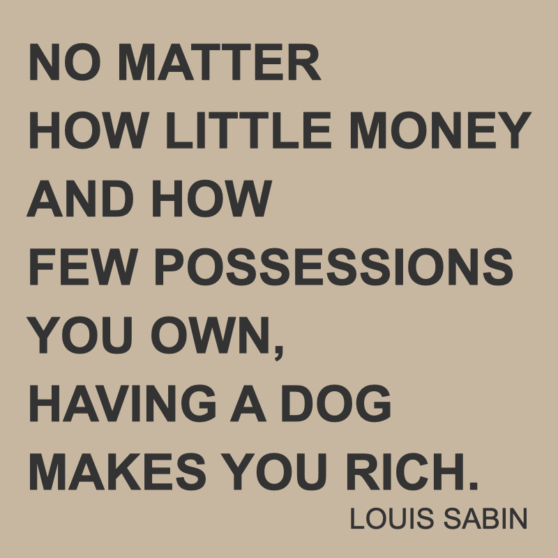 Louis Sabin about dogs